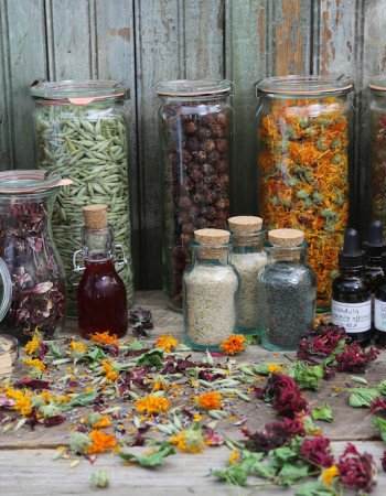 herbal medicine Jars of colorful dried herbs.