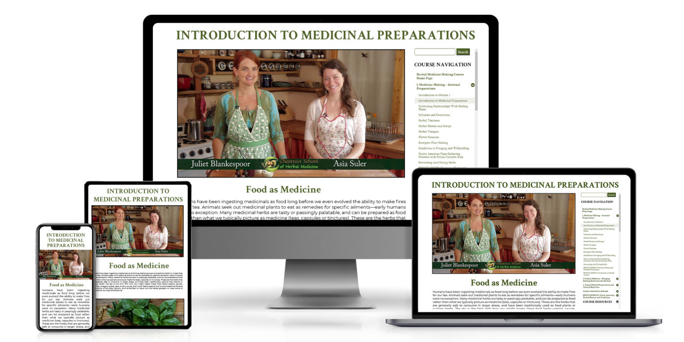 Chestnut School of Herbal Medicine's Online Herbal Immersion Program is shown on various computer and mobile devices.
