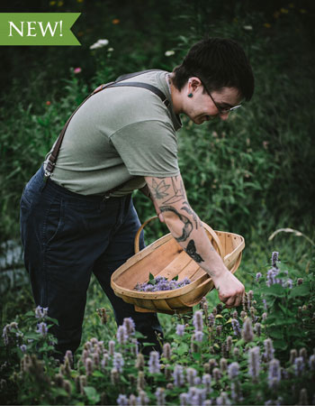 Herbalism-in-Action-NEW A person carrying a basket, picking herbs.