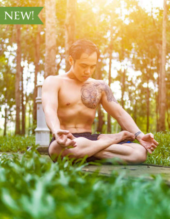 Testicular System Module - NEW A person meditating outside.