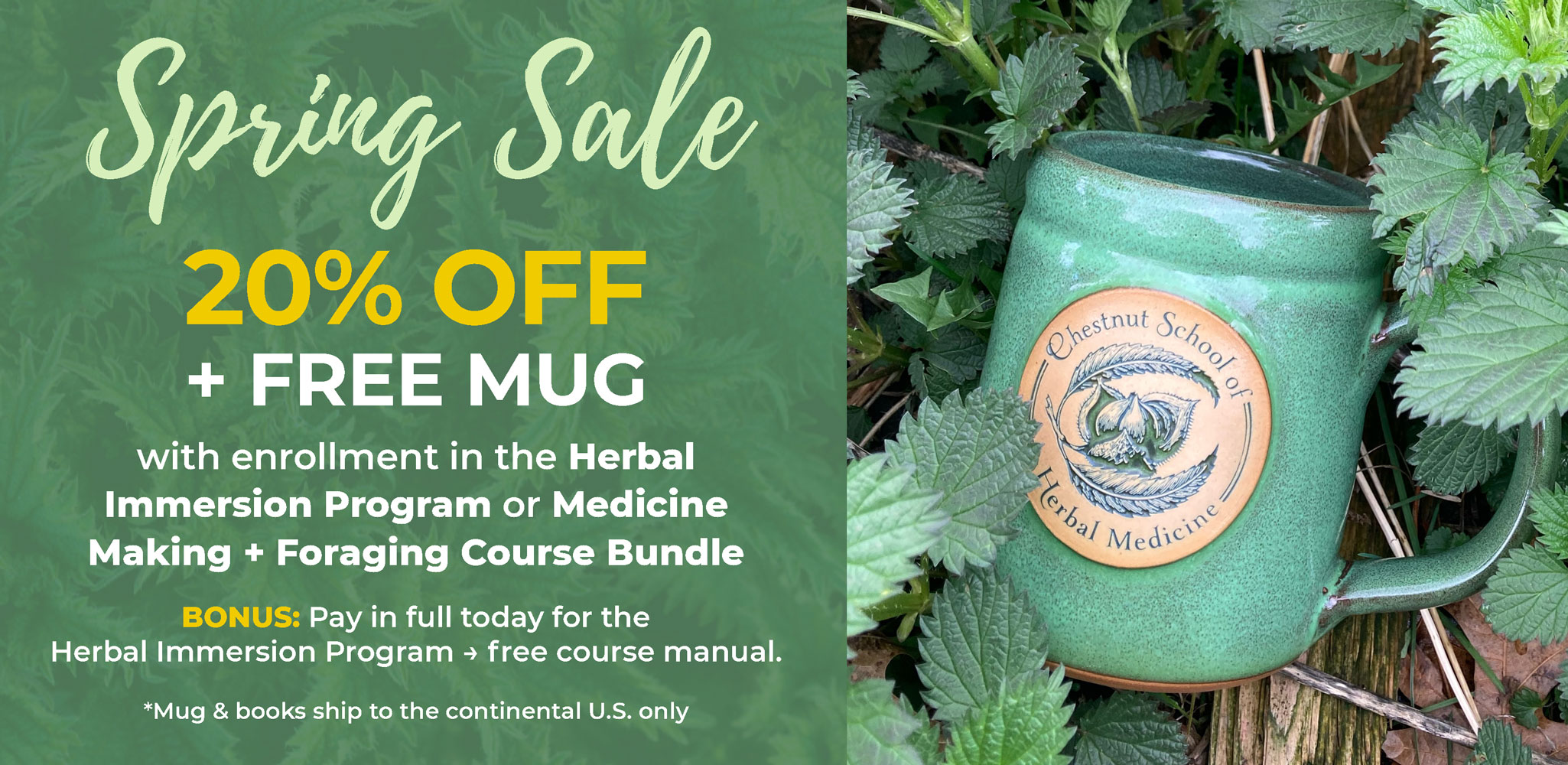 Spring-Sale-Mug-bonus-banner-2050x1000 Spring-Sale-Mug-bonus-banner-2050x1000