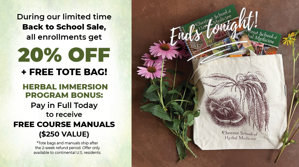 Back to School 2026 - ends tonight Back to School 2026 - ends tonight